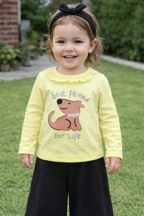 Producto - CAMISETA VOLADO BEST FRIEND - transferencia 9.944