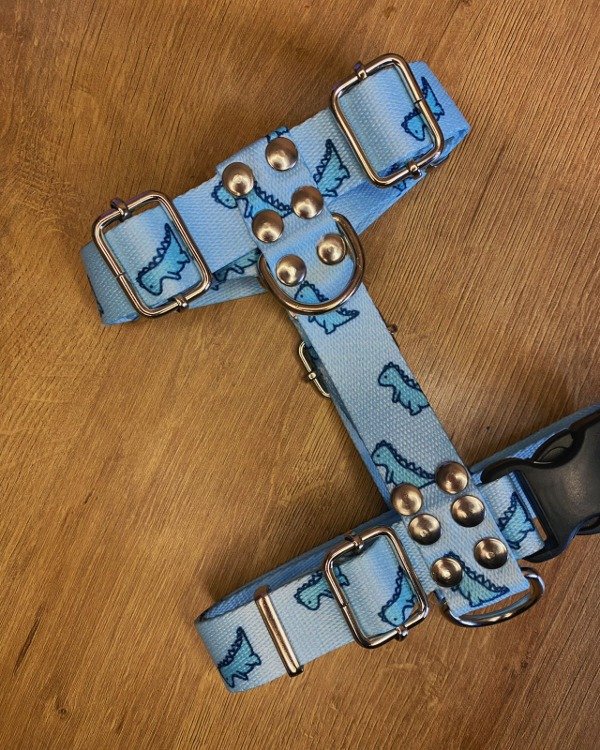 Producto - Pretal H DINOS BLUE