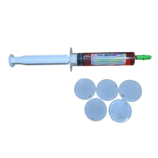 Producto - Kit Hormigas Carpinteras