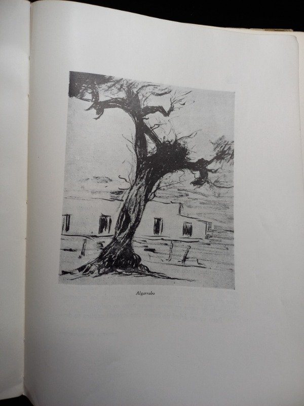 Producto - El Arbol folklore y leyendas - 4