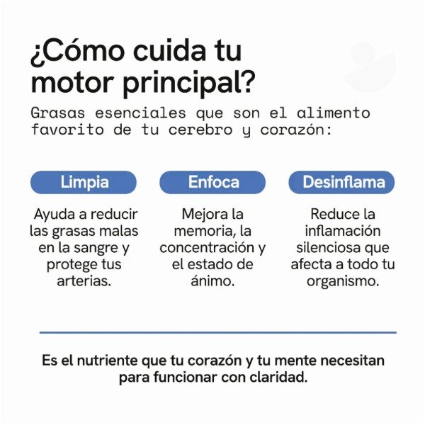 Producto - Omega 3 en Cápsulas Blandas - 5