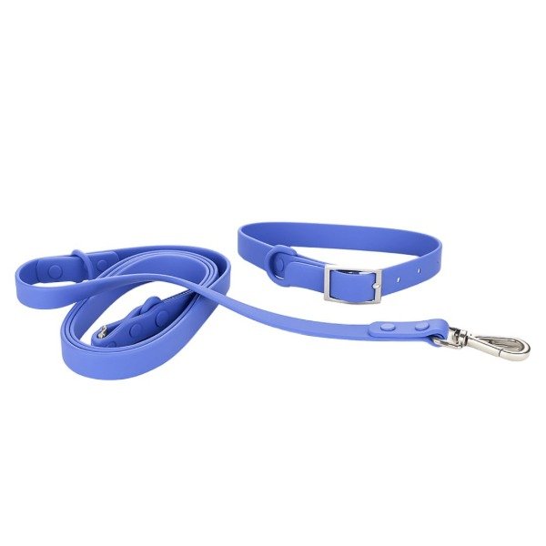 Producto - COLLAR + CORREA PUPO