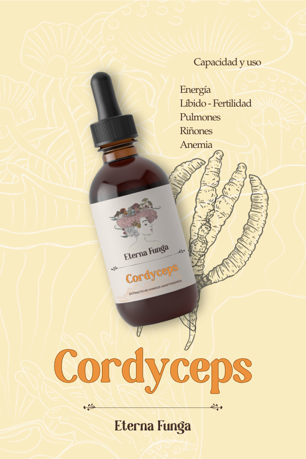 Producto - Cordyceps