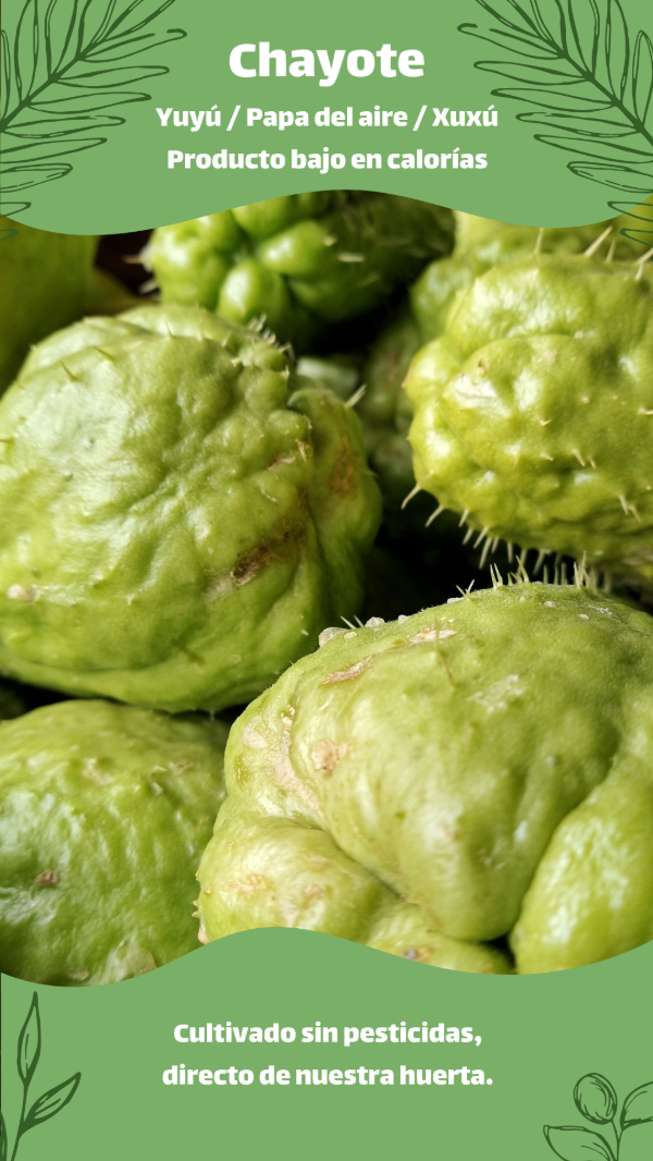 Producto - Chayote papa del aire x Kg
