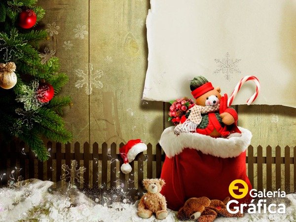 Producto - Navidad FS 41