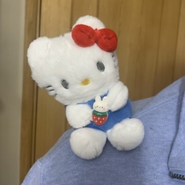 Producto - Llavero peluche sanrio Hello Kitty moño rojo