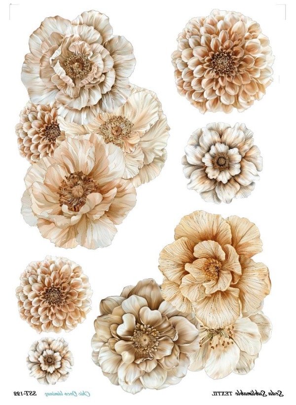 Producto - Seda Sublimable Textil SST-122