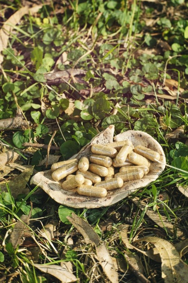 Producto - Cápsulas Reishi x30