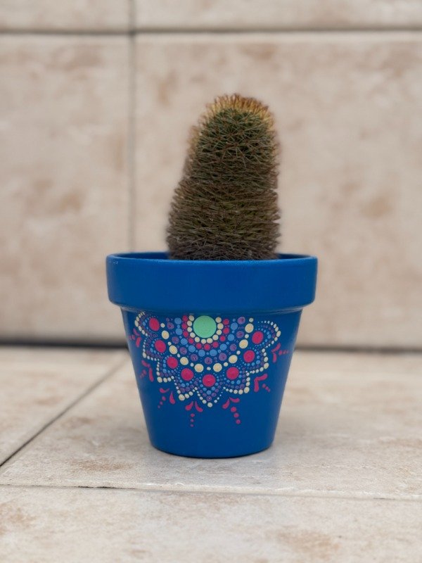 Miniatura de producto - 13