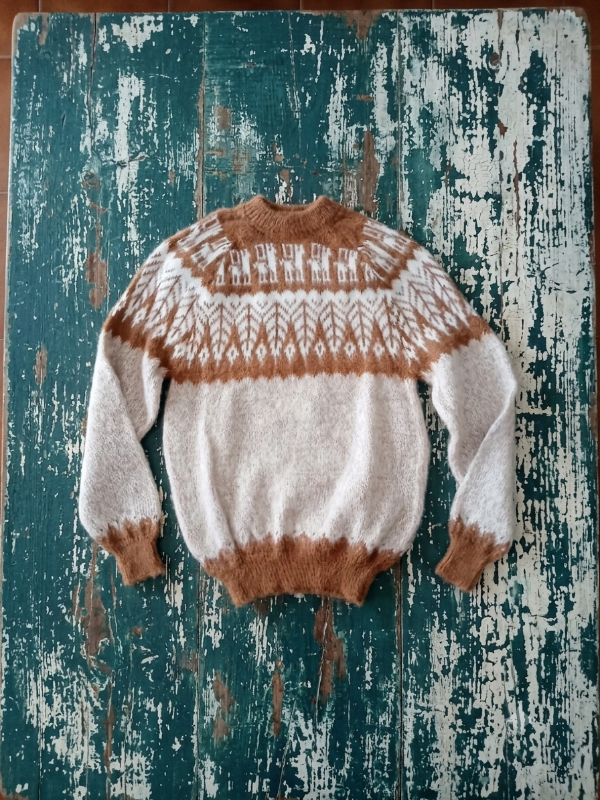 Producto - Sweater Hoja Niño Joven S - 1