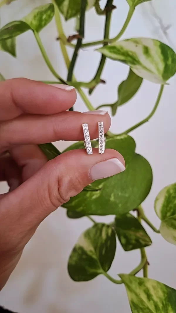 Producto - Aros Luisa