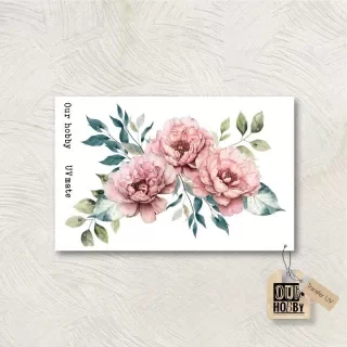 Producto - Transfer UV 056