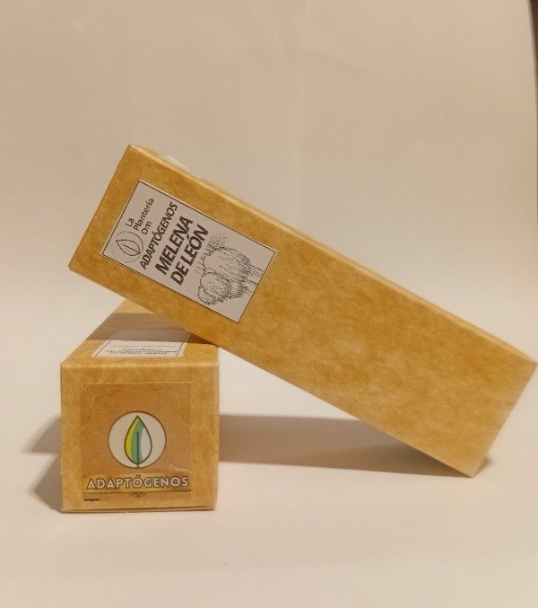 Producto - Melena de león