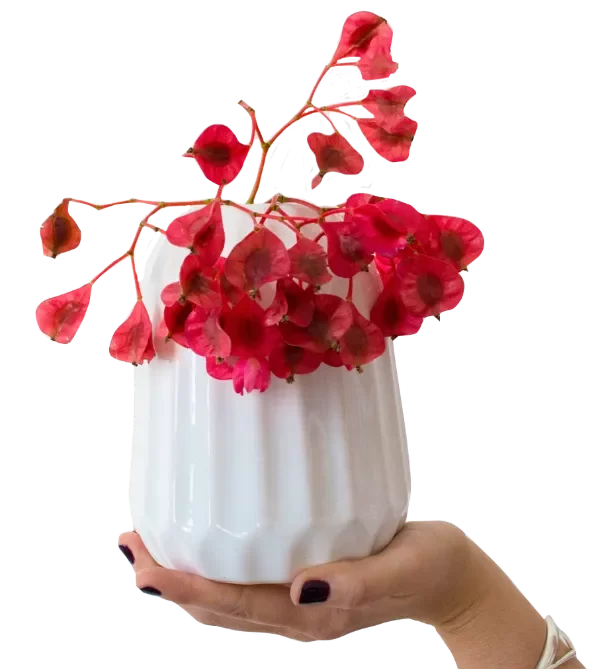 Producto - FLORERO LOTO