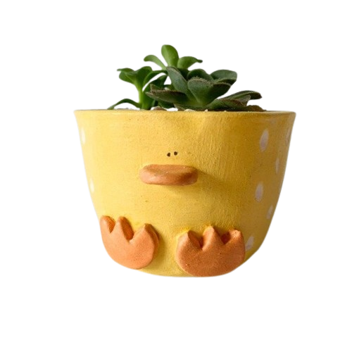Producto - Pato Chico