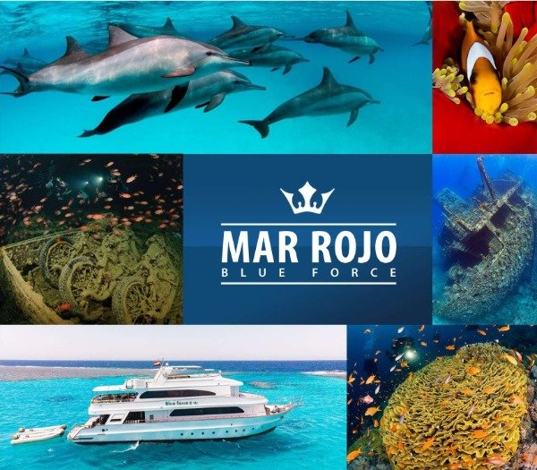 Producto - Crucero Blue Force Mar Rojo