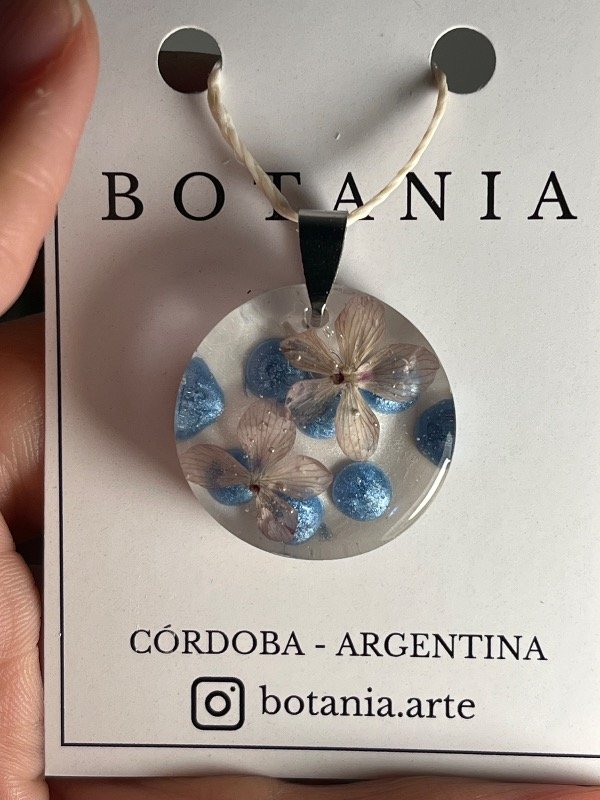 Producto - Variedad 16 trébol