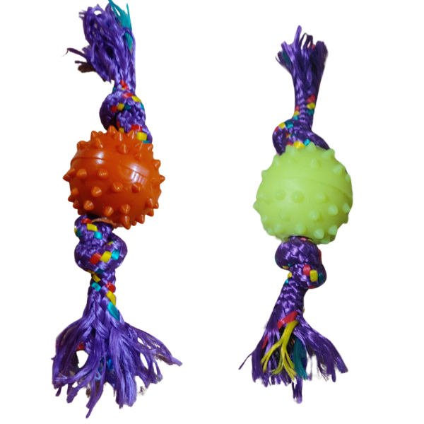 Producto - Pelota Mini Con Soga Y Puas Para Perros Pequeños Dental - 1