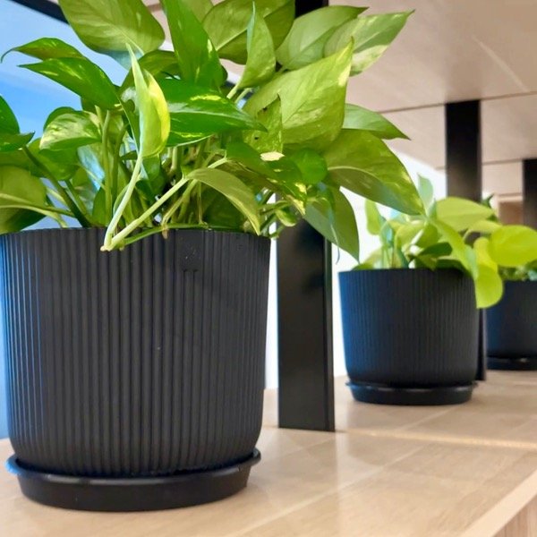 Producto - Maceta plástica Milan -M- 20