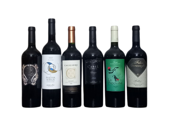 Producto - Promociones - MALBEC 7