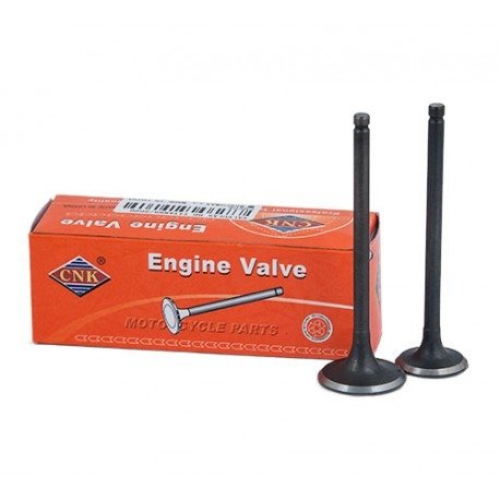 Producto - MOT- VALVULAS ZANELLA 150  (ADM.+ESC)