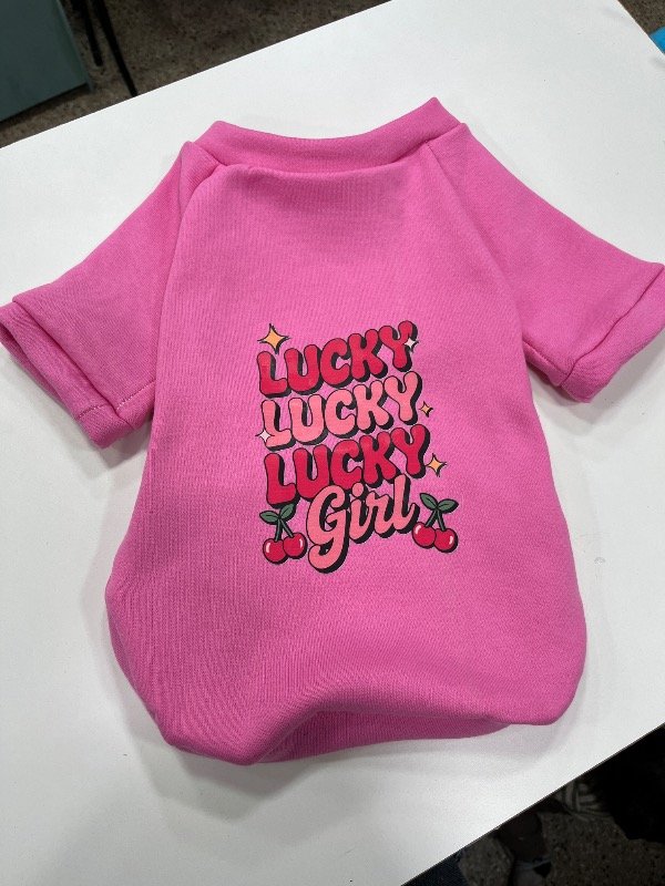 Producto - Buzo Lucky - 1