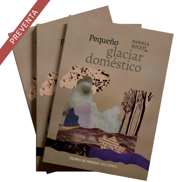 Producto - PREVENTA - Pequeño glaciar dómestico - Daniela Noceti - 0