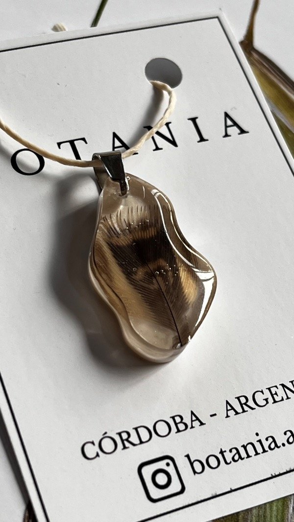 Producto - Pluma 5 - 1