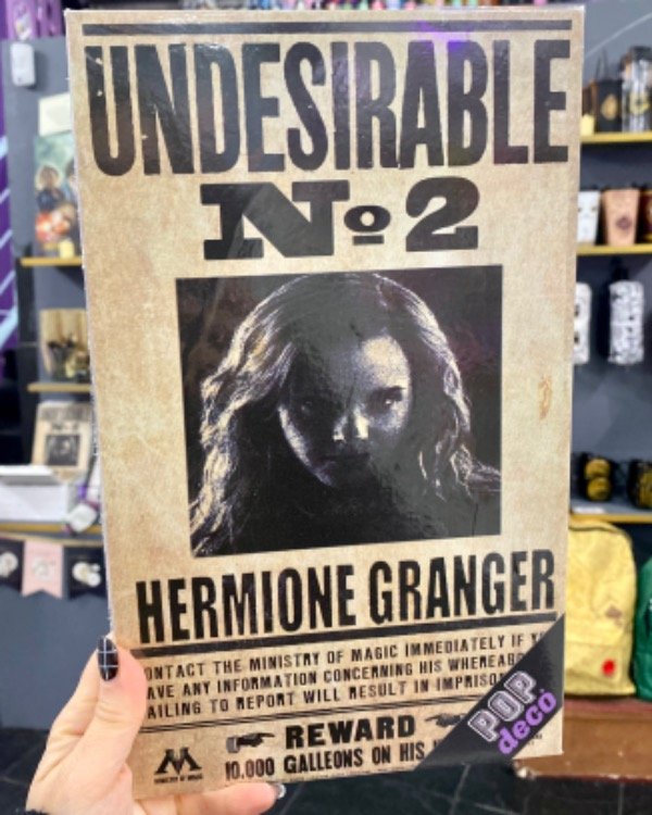 Producto - Cuadro Undesirable N2