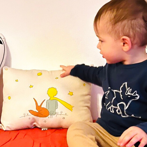 Producto - Almohadones principito