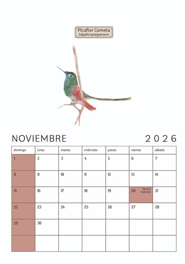 Producto - Calendario 2026 "Aves mendocinas"