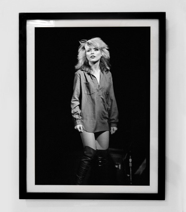 Producto - BLONDIE (Nro 18)