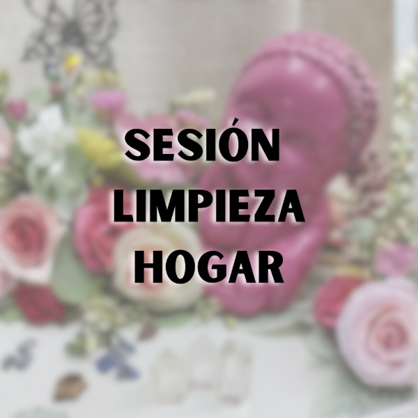 Producto - SESION LIMPIEZA HOGAR