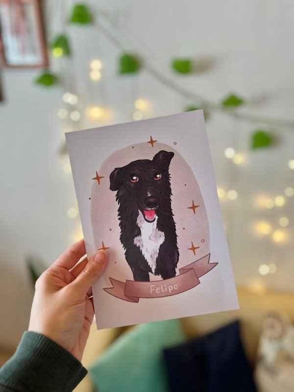 Producto - Retrato - Lámina impresa