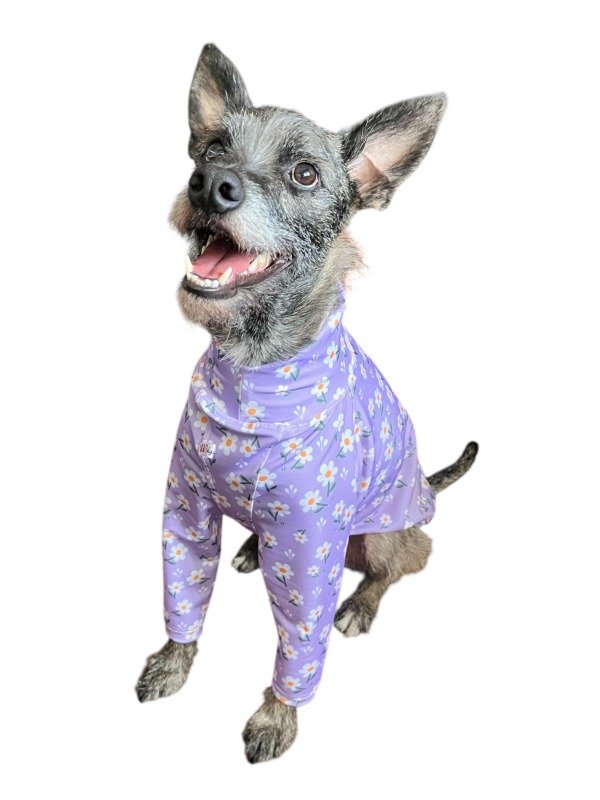 Producto - Remera galgo con protección UV+50