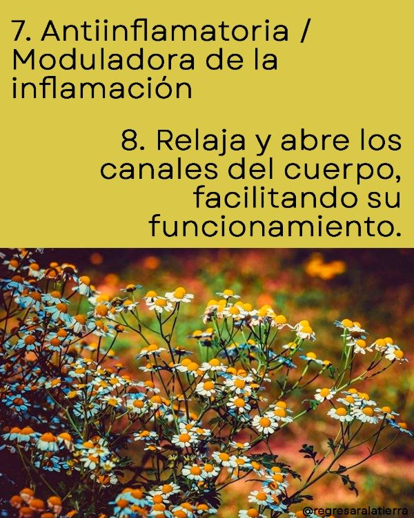 Miniatura de producto - 10