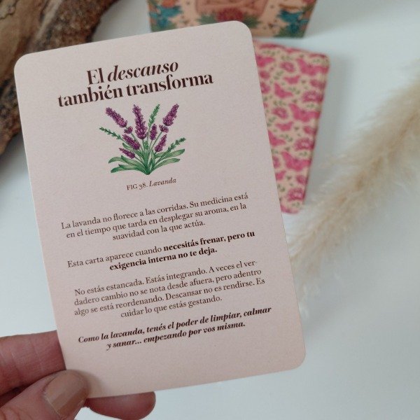Producto - Oráculo Metamorfosis - 3