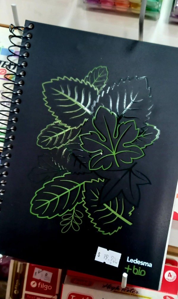 Producto - CUADERNO LEDESMA BIO 16/21 X 120 HJS. RAYADO - 1