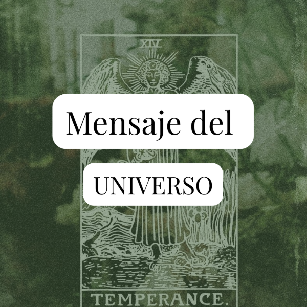 Producto - Mensaje del Universo
