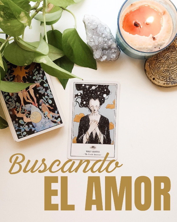 Producto - BUSCANDO EL AMOR - LECTURA SOLTERXS -
