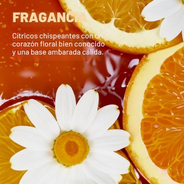 Miniatura de producto - 8