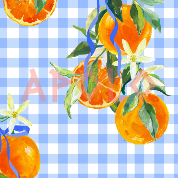 Producto - TENDENCIA - 017