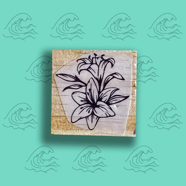 Producto - 4x4 Tulipanes