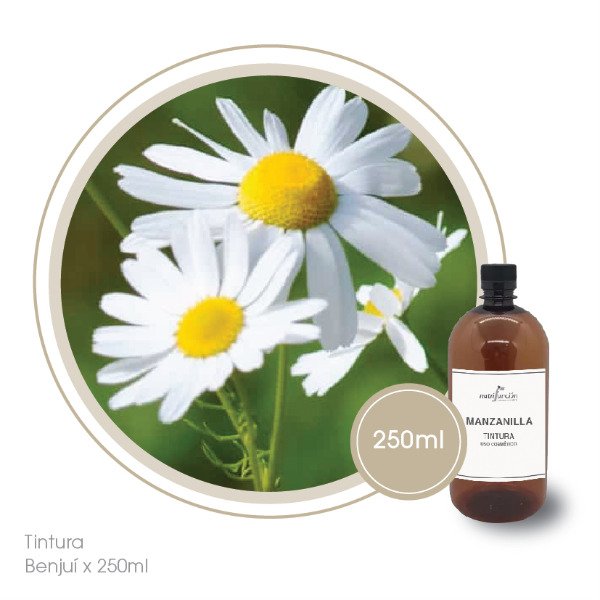 Producto - Tintura de manzanilla x 250 ml
