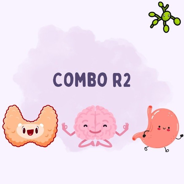 Producto - COMBO R2 VIRTUAL