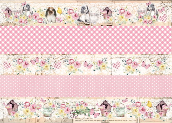 Producto - PASC 8