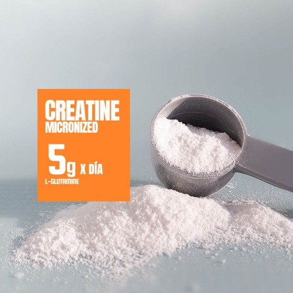 Producto - Creatina HOCHSPORT 300g - 5