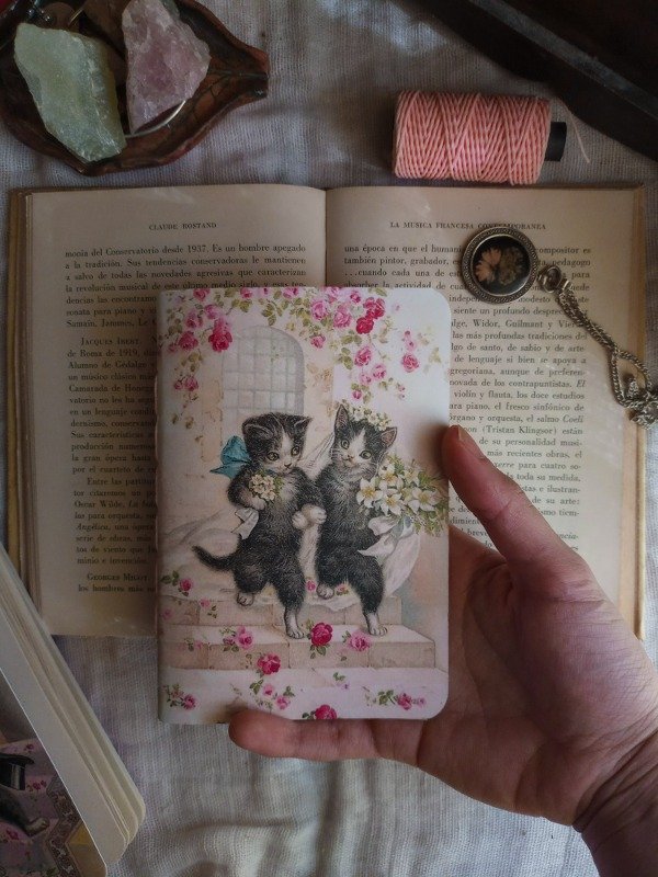 Producto - Casorio Gatuno