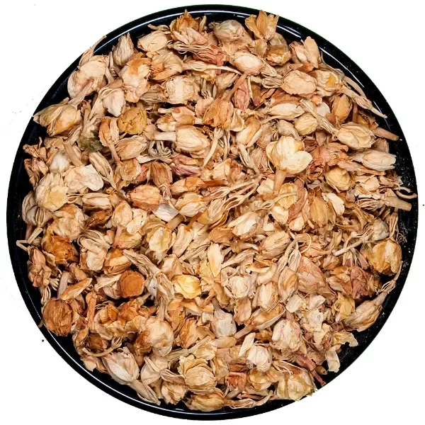 Producto - Jazmín en pimpollos