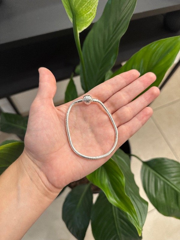 Producto - Pulsera Estilo Pandora Ostra